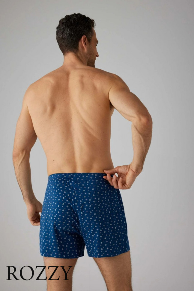 Трусы боксеры мужские Ysabel Mora 20352 синий