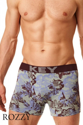 Трусы шорты мужские Key MXH 511 B22 голубой/коричневый