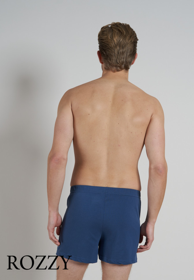 Трусы боксеры мужские Ceceba 002675/M-XXL синий (уп.2шт.)