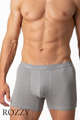 Трусы шорты мужские Key MXH 019 серый меланж