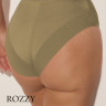 Трусы классика Kinga Lou Khaki P-932/2 хаки