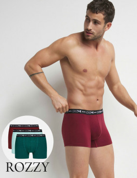 Трусы шорты мужские DIM 6596/3 мята/зеленый/бордо (уп.3шт.)