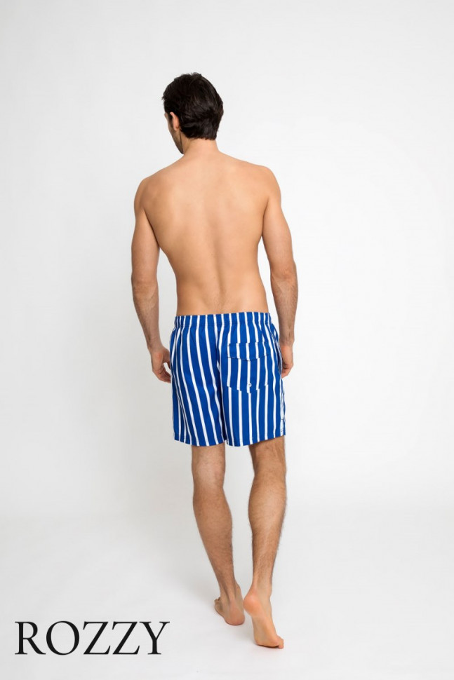 Шорты купальные мужские Leyeroo 003 синий