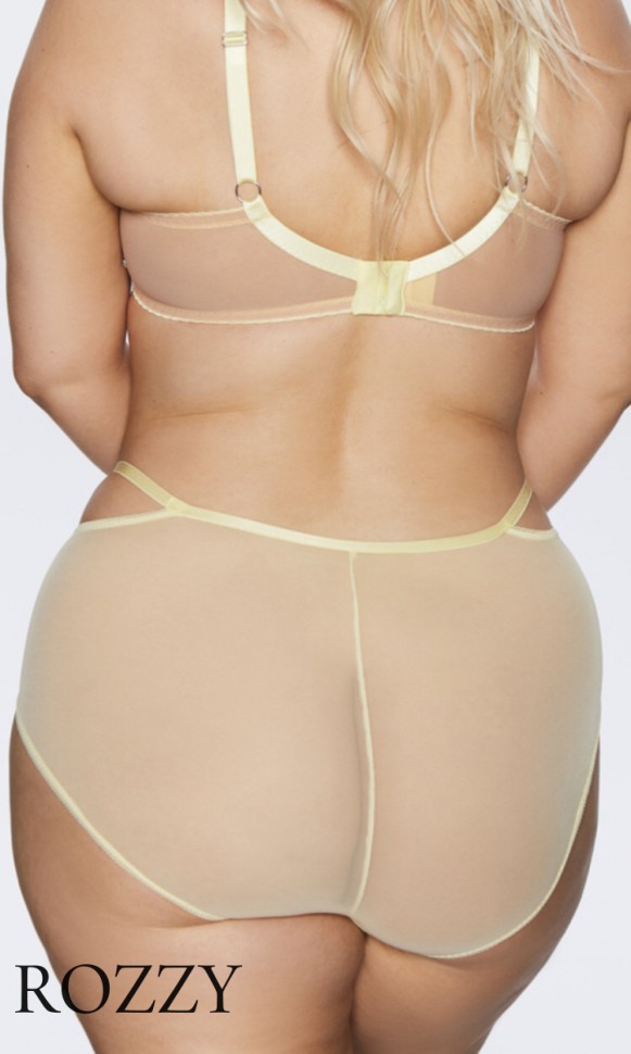 Трусы классика Kinga Forget Me Not P-821/5 лимонный