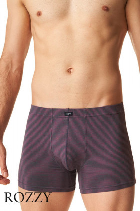 Трусы шорты мужские Key MXH 302 серый/красный