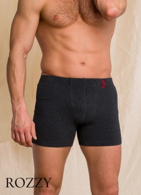 Термотрусы мужские Key MXM 155 серый